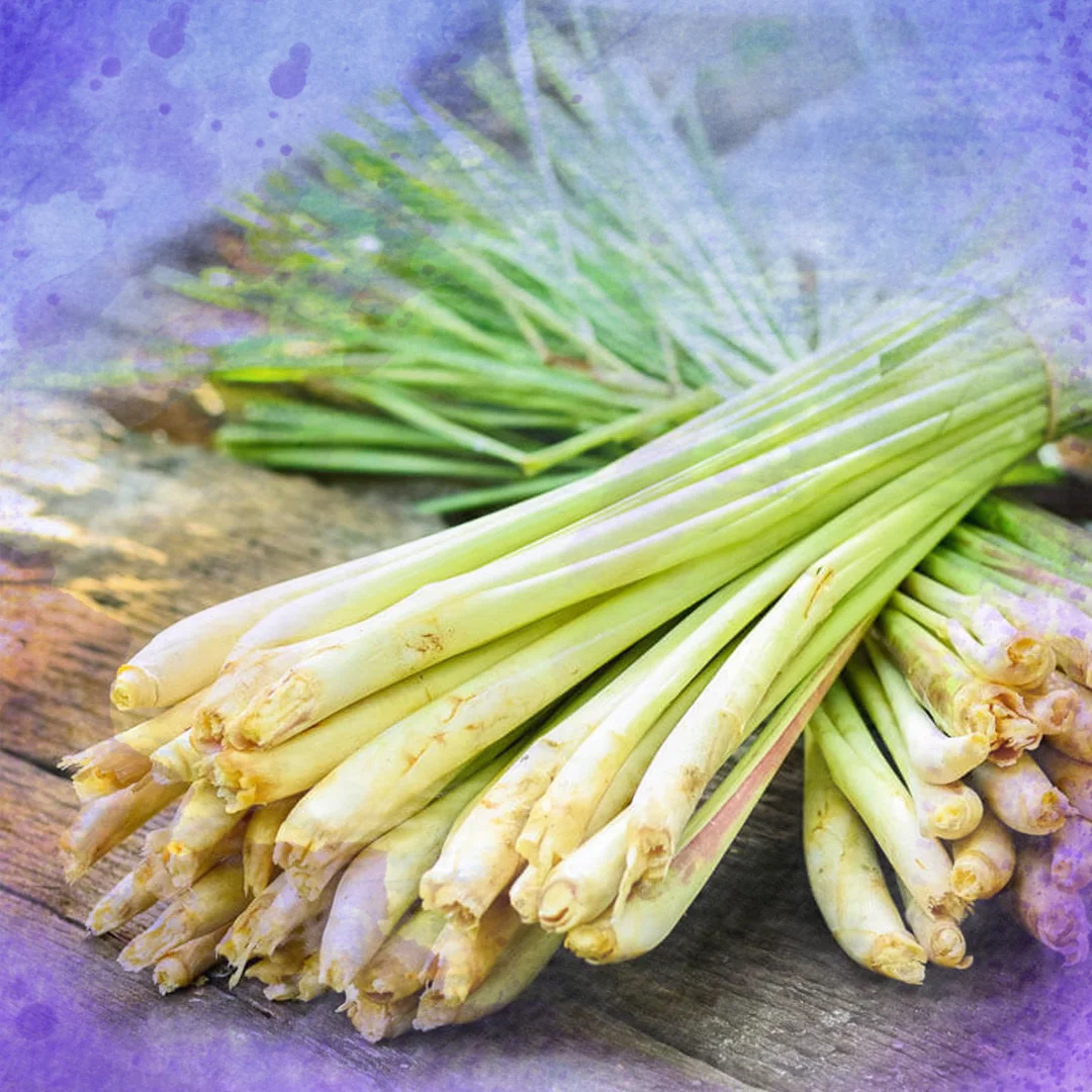 lemon grass