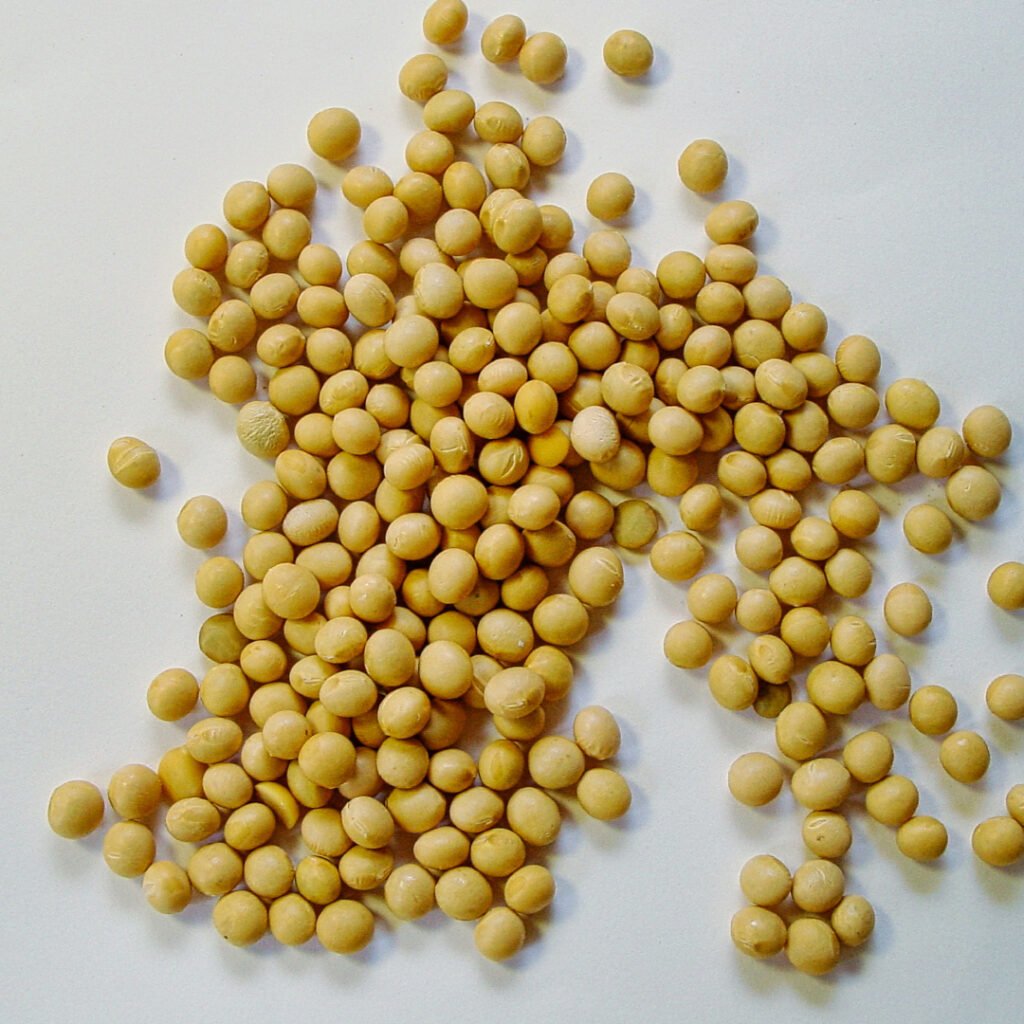 soja
