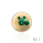 Eco Glow - Terra - mirisna sveća — izobraženie 4