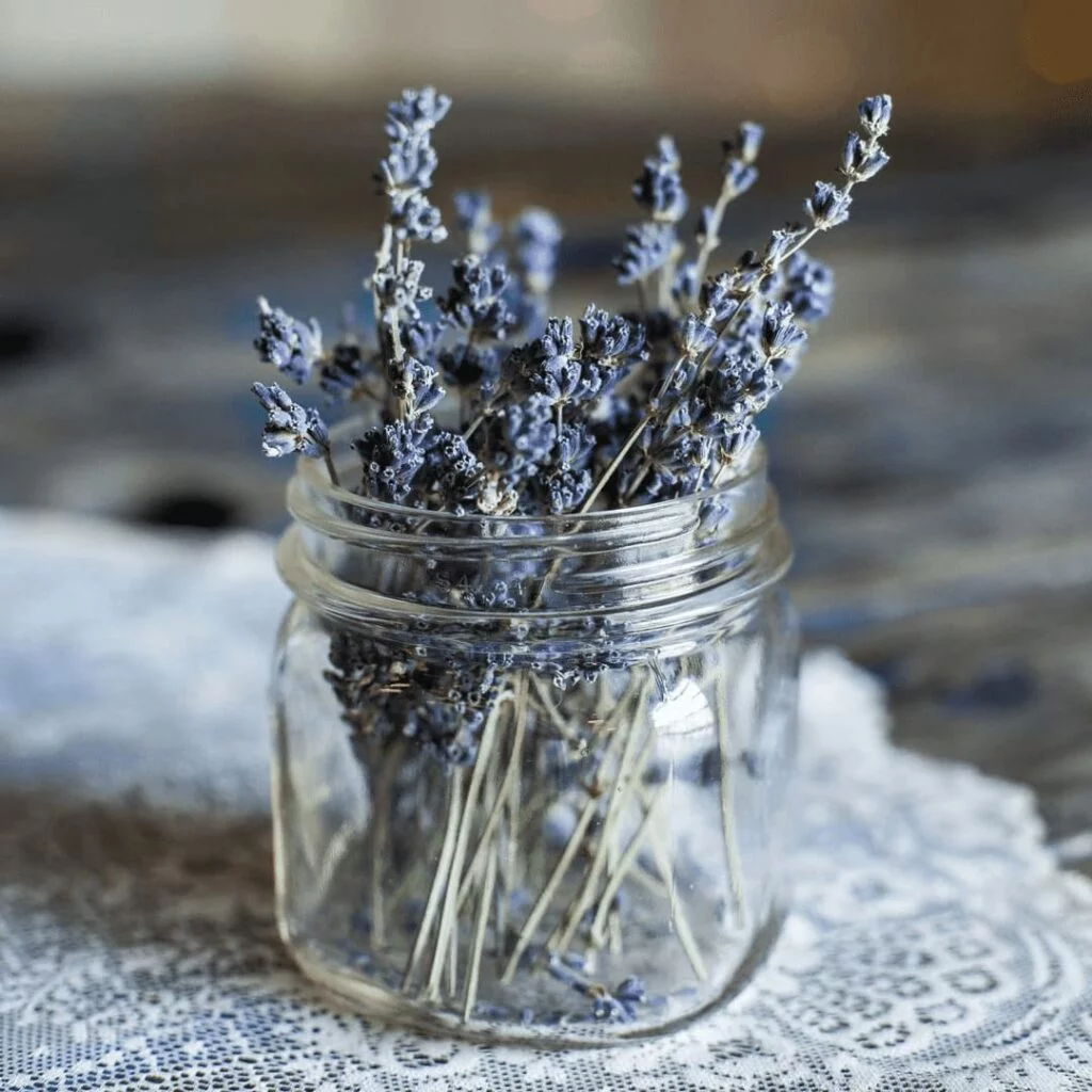 Hidrolat Lavande. Sve što treba da znate. 3 lavanda-u-tegli