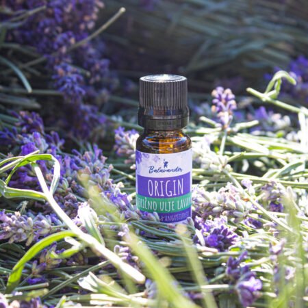 essential-lavender-oil-organic