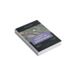 lavanda-vodic-ca-pocetnike-1