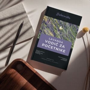 Book "Lavender - Beginner's Guide" (ebook)