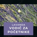 Knjiga „Lavanda – Vodič za početnike“ (ebook) - Image 5