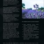 Knjiga „Lavanda – Vodič za početnike“ (ebook) - Image 7
