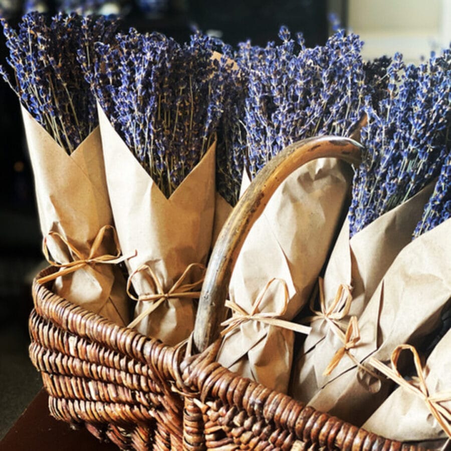 lavanda-buket-suvi