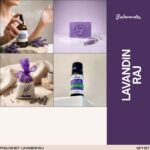 balavander-poklon-set-lavandin-raj